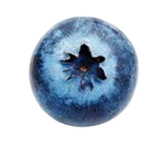 Blueberry