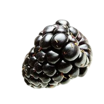 Big Blackberry