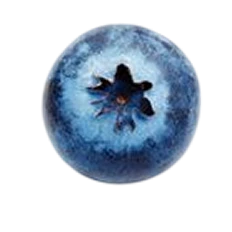 Blueberry