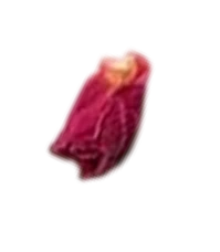 Rose Petal