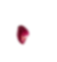 Small Petal