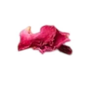 Rose Petal