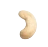Cashew