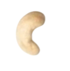 Rose Petal Large